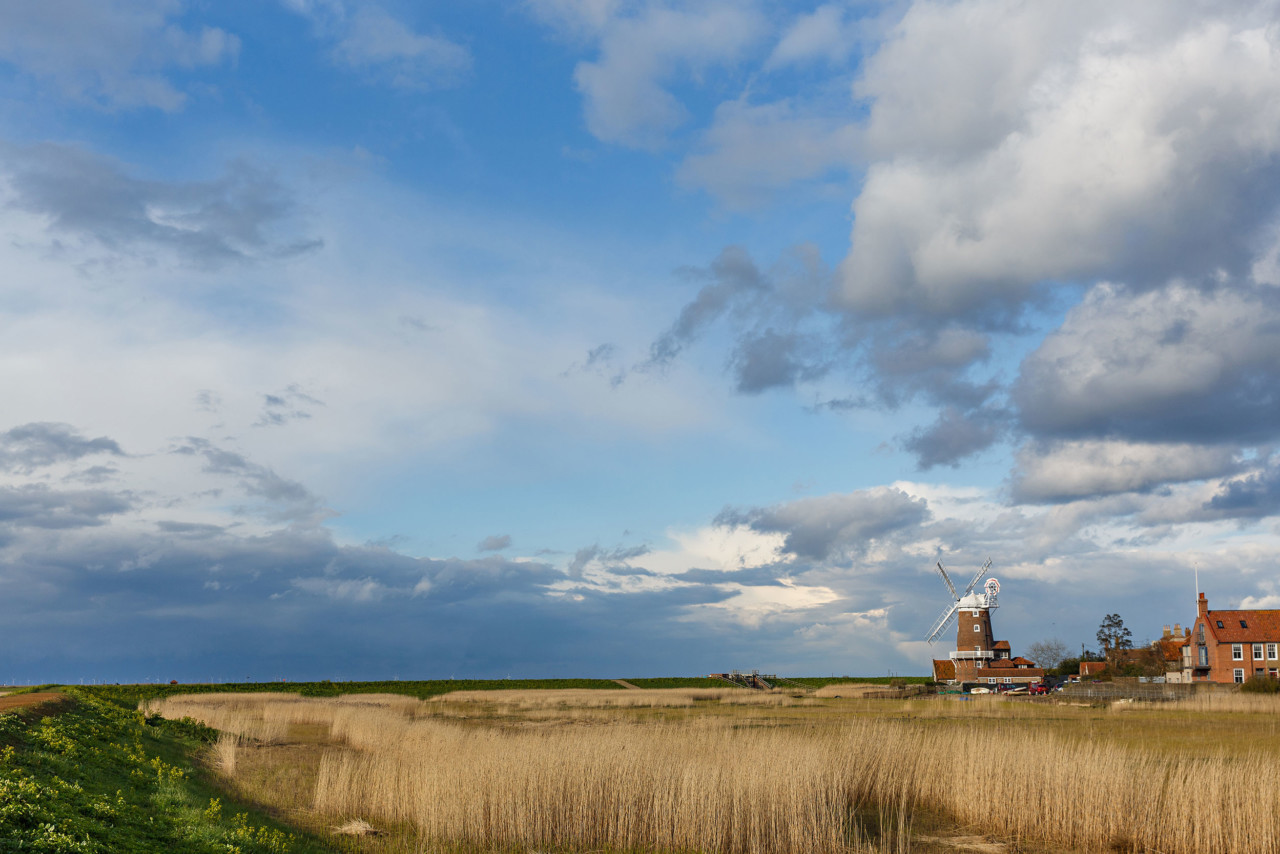 Norfolkbackdrop